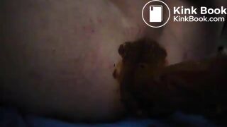 Bestofscat