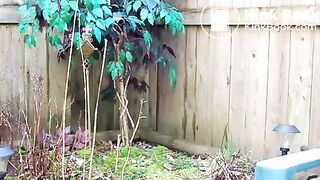 Back Garden Shit 1