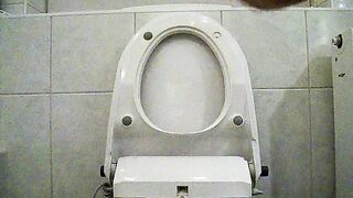 toilet shit