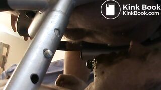 Sloppy Shit nasty shit feed