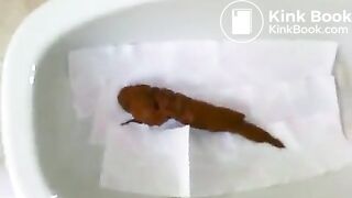 VID_20151022_134354