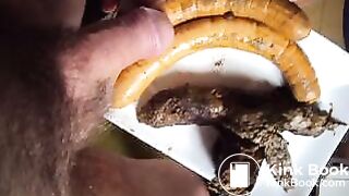 WURSTSCHÖN IM ARSCH 20062013