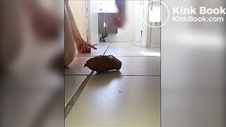 MuleNoirPetitGode