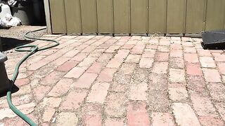 Piss fun - Piss shower outdoors