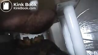 Feeding afternoon