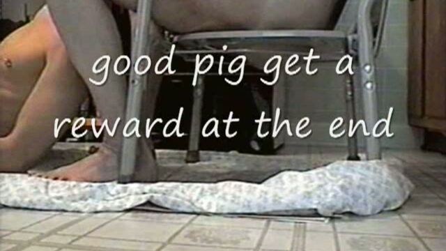 Good pig get a reward at the end