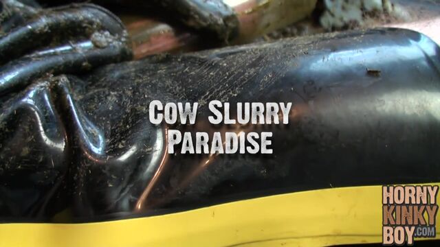 Cow Slurry Paradise