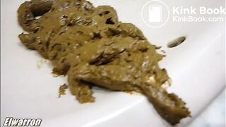 Cagando en el lavabo