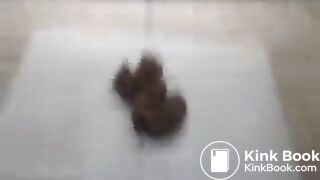 morning shit