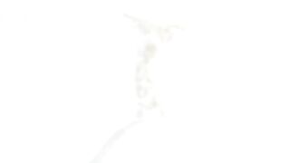 Hairy wife shitting in toilet On shittytube