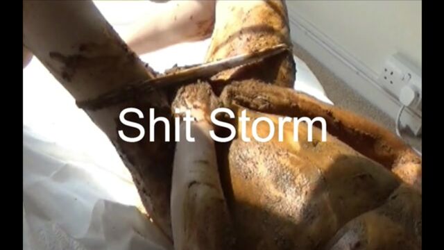 Shit Storm