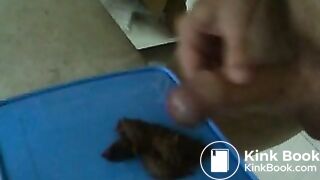 auf Scheisse gewichst