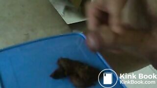 auf Scheisse gewichst