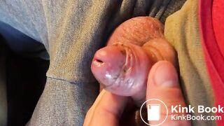 scat expulsion from urethra