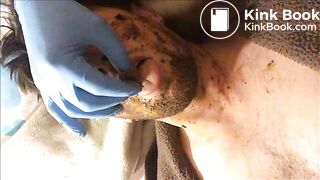 scat delice - part 2