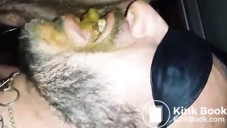 wwwgayscatpigscom