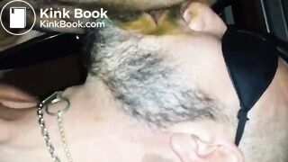 wwwgayscatpigscom