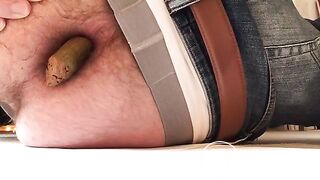 wwwgayscatpigscom