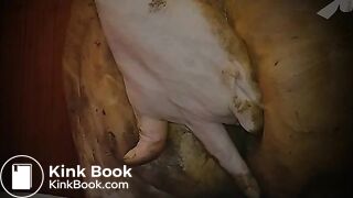 SCAT Una ducha entre la mierda