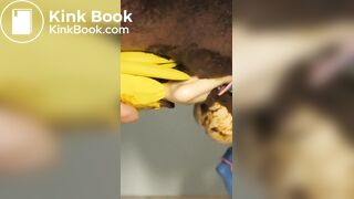 258_BlackMagicianGirl U151001