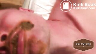 Gay Scat Pigs (wwwgayscatpigscom)