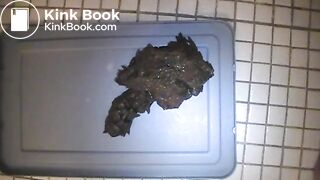 Rosebud Over The Toilet Bowl