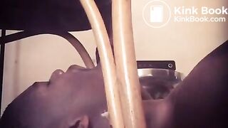 wwwgayscatpigscom