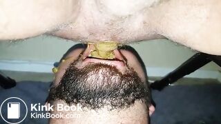 wwwgayscatpigscom