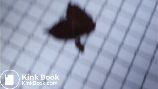 am klo vorbei geschissen