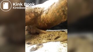 Multiple load diaper play