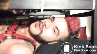 wwwgayscatpigscom