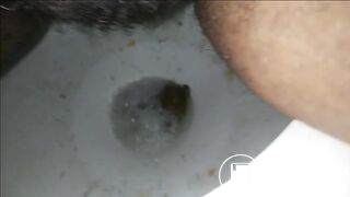 Morning Poop 3_17_2018