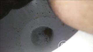 Morning Poop 3_17_2018