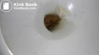 Toilet Poop 4282018