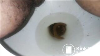 Morning Poo 582018
