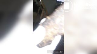 Scatqueenleila eating big pille