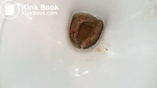 Two turds