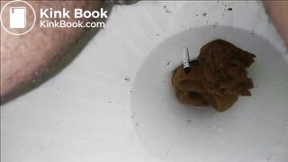Compilation Poop