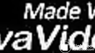 Scatqueenleila swallow