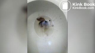 Toilet Dump 542018