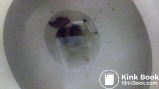 Toilet Dump 542018