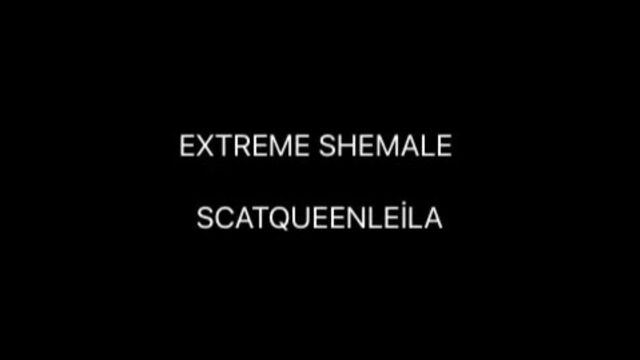 Scatqueenleila eating scat