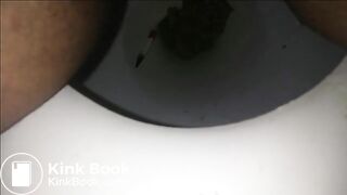 Toilet Poop 4252018