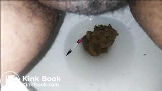 Toilet Poop 4252018