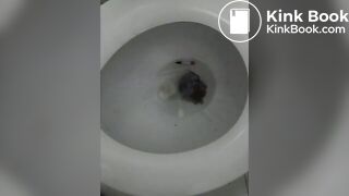 Toilet Poop 4252018