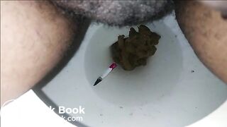 Toilet Poop 4252018