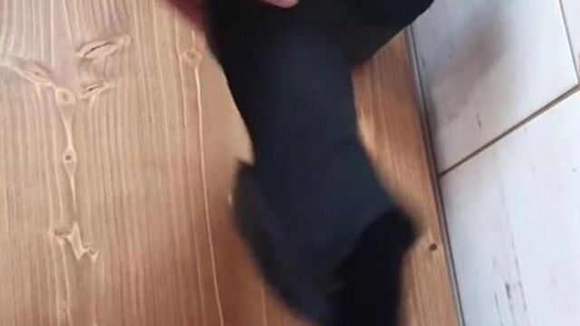 Cum on her ankle boots