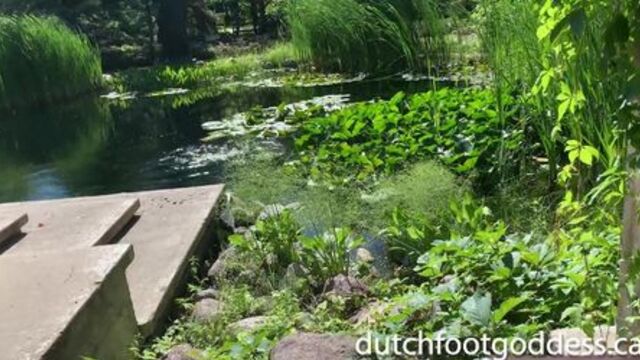 Love my sexy legs in Black Tights look in the sun @ the water lily garden - DutchFootGoddess TikTok