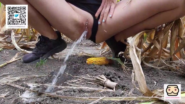 Urgent piss in the cornfield