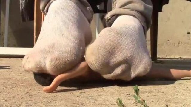 Under Giantess Feet